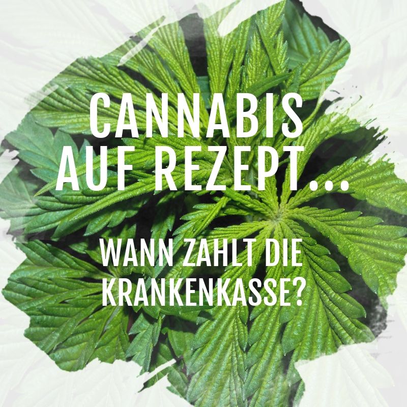 Cannabis auf Rezept – Wann zahlt die Kasse?